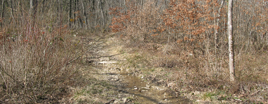 Parco Sasso Simone e Simoncello Sentiero 118 - immagine 4