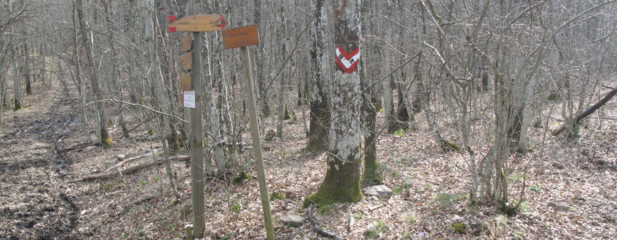 Parco Sasso Simone e Simoncello Sentiero 118 - immagine 6