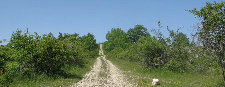 Parco Sasso Simone e Simoncello Sentiero 119 - immagine 6