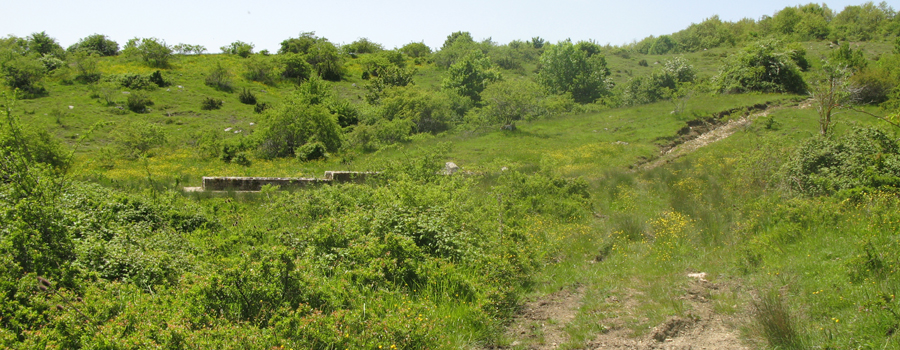 Parco Sasso Simone e Simoncello Sentiero 119 - immagine 8