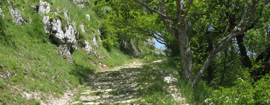 Parco Sasso Simone e Simoncello Sentiero 119 - immagine 11