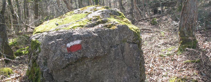 Parco Sasso Simone e Simoncello Sentiero 119/B - immagine 1