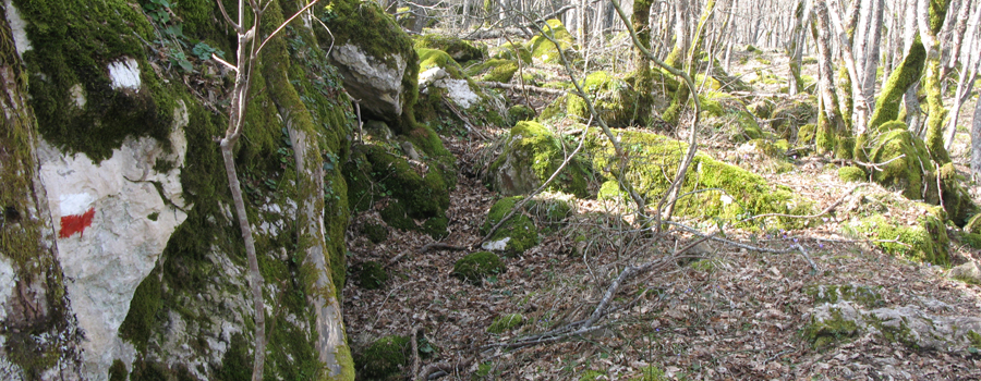 Parco Sasso Simone e Simoncello Sentiero 119/B - immagine 3