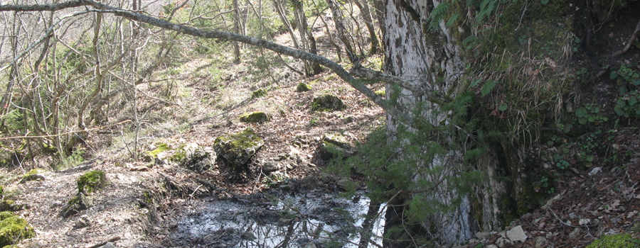Parco Sasso Simone e Simoncello Sentiero 119/B - immagine 4
