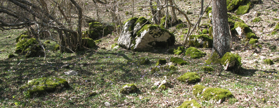 Parco Sasso Simone e Simoncello Sentiero 119/B - immagine 5