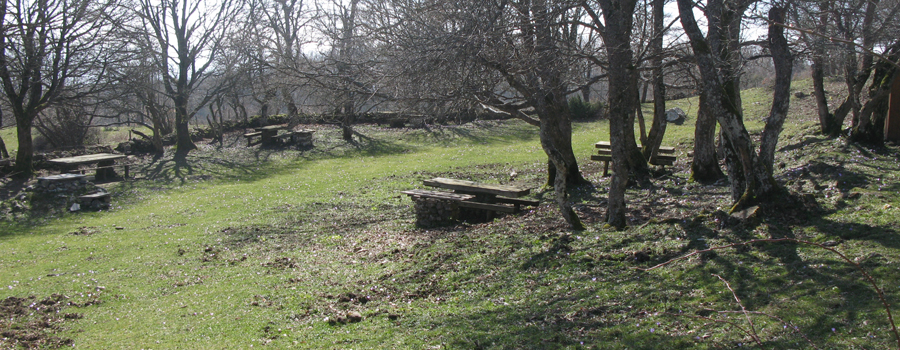 Parco Sasso Simone e Simoncello Sentiero 119/B - immagine 6