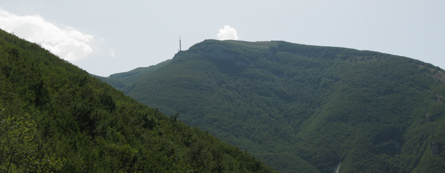 Monte Nerone Sentiero 12 - immagine 3