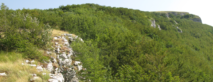 Monte Nerone Sentiero 12 - immagine 9