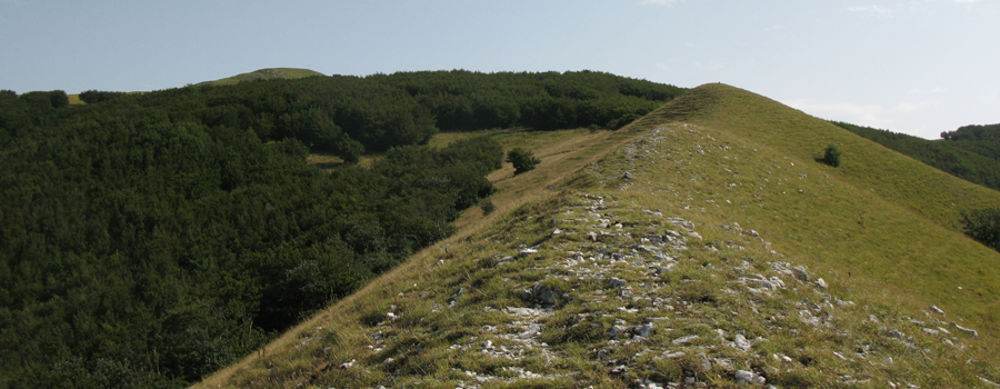 Monte Nerone Sentiero 12 - immagine 11
