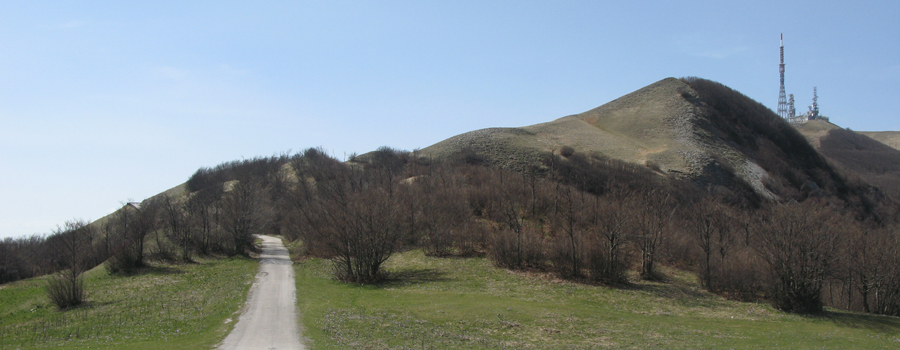 Monte Nerone Sentiero 12 - immagine 13