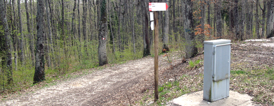 Parco Sasso Simone e Simoncello Sentiero 121 - immagine 1