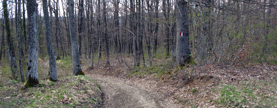 Parco Sasso Simone e Simoncello Sentiero 121 - immagine 2
