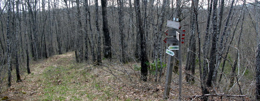 Parco Sasso Simone e Simoncello Sentiero 121 - immagine 5 (Valzoppo)