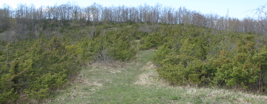 Parco Sasso Simone e Simoncello Sentiero 121 - immagine 11