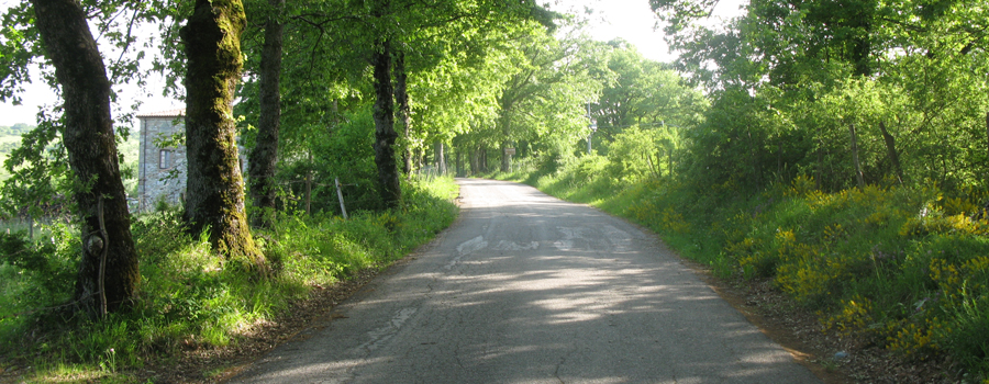 Parco Sasso Simone e Simoncello Sentiero 123 - immagine 2
