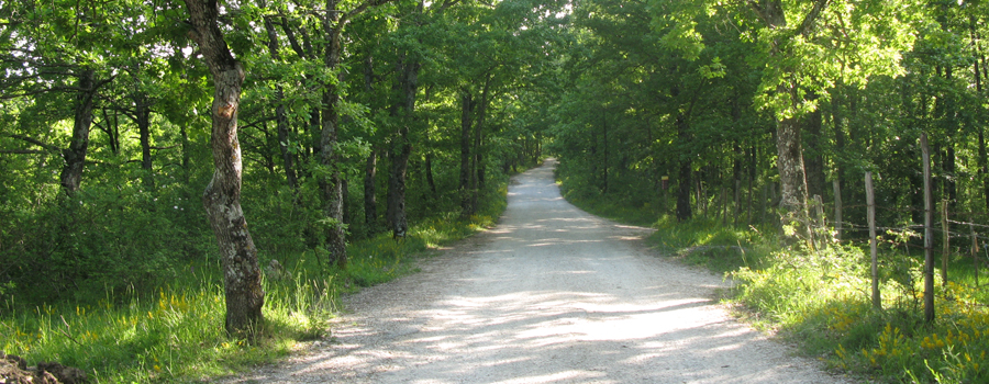Parco Sasso Simone e Simoncello Sentiero 123 - immagine 3