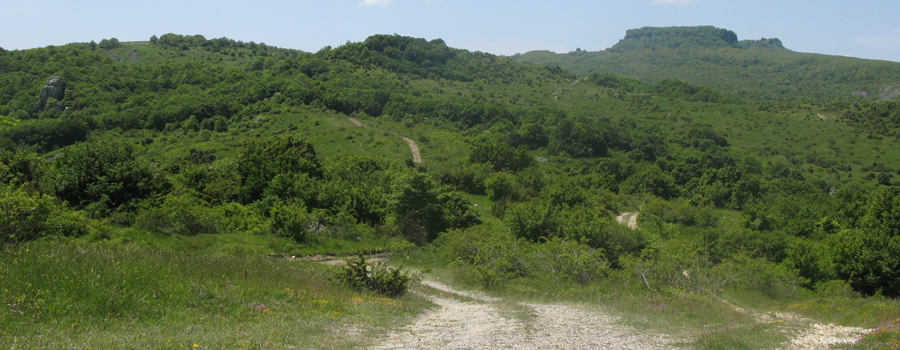 Parco Sasso Simone e Simoncello Sentiero 123 - immagine 5 (Torre del Peschio)