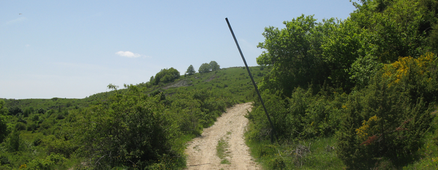 Parco Sasso Simone e Simoncello Sentiero 123 - immagine 7