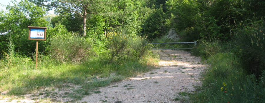 Monte Nerone Sentiero 13 - immagine 1