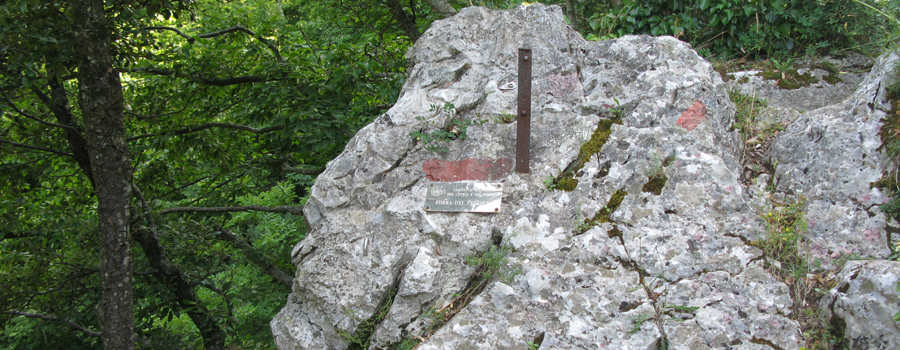 Monte Nerone Sentiero 13 - immagine 4