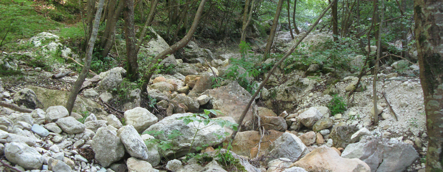 Monte Nerone Sentiero 13 - immagine 6