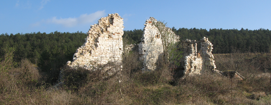 Monti delle Cesane Sentiero 131 - immagine 7 (Corno della Cesana)