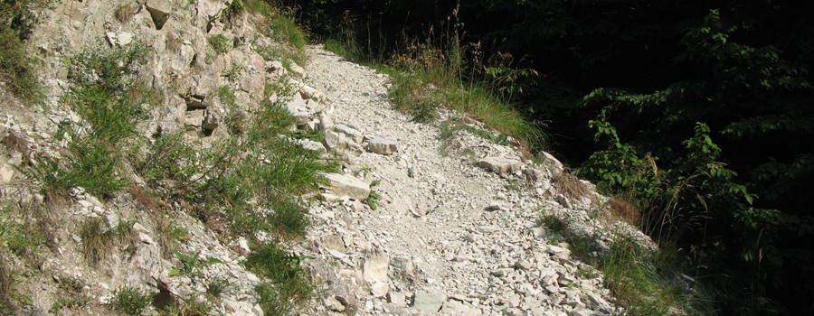 Monte Nerone Sentiero 14 - immagine 2