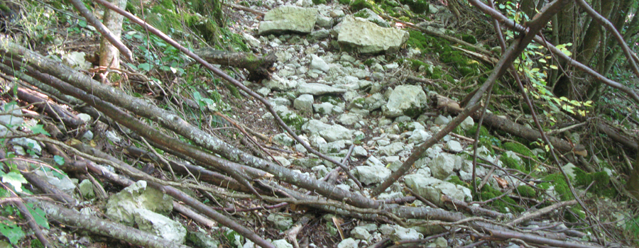 Monte Nerone Sentiero 14 - immagine 8