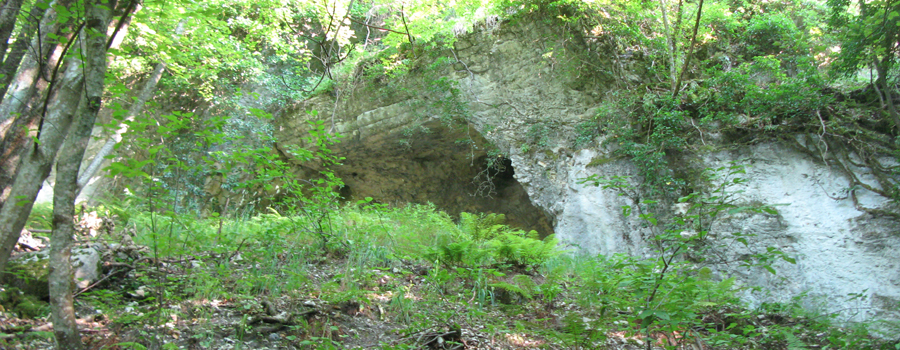 Monte Nerone Sentiero 14 - immagine 9