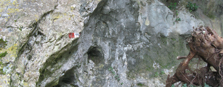 Monte Nerone Sentiero 14 - immagine 10 (Grotta del Borghetto)