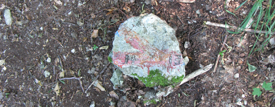 Monte Nerone Sentiero 14 - immagine 11