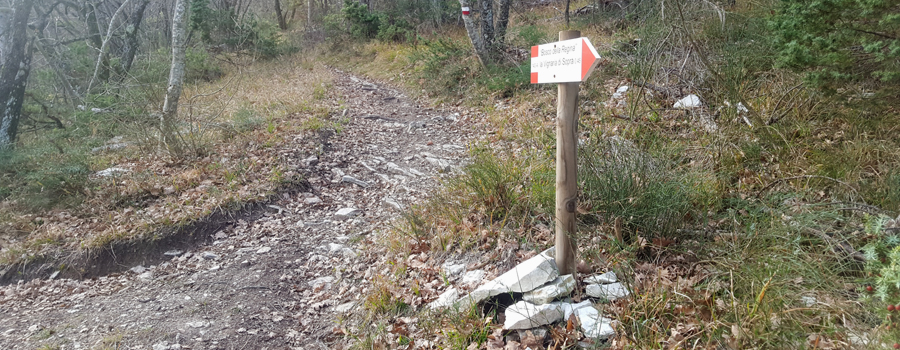 Monti delle Cesane Sentiero 140A - immagine 9