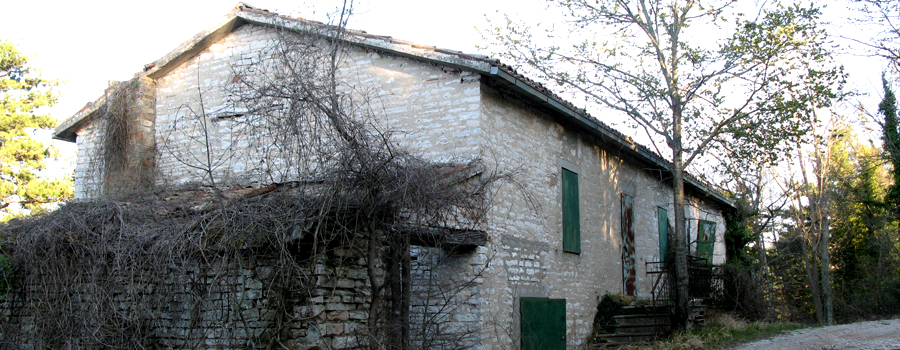 Monti delle Cesane Sentiero 144 - immagine 5 (Campo degli abeti)