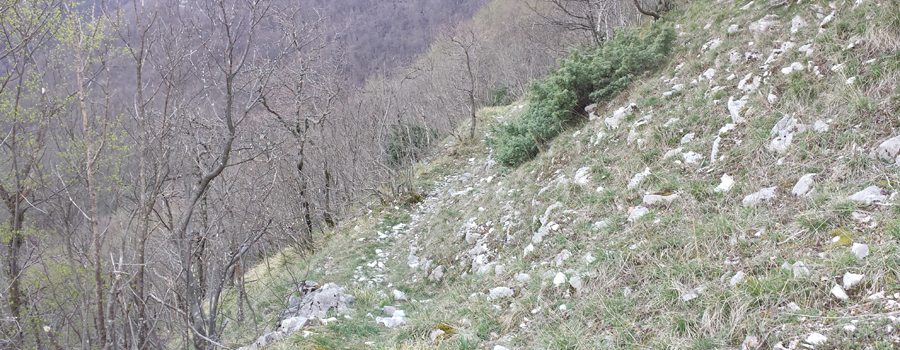 Monte Nerone Sentiero 15 - immagine 1