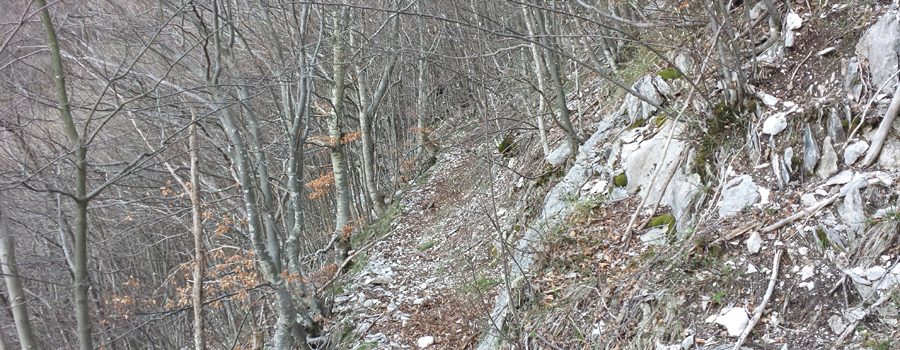 Monte Nerone Sentiero 15 - immagine 2