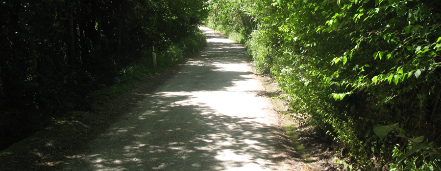 Parco Monte San Bartolo Sentiero 151 - immagine 2