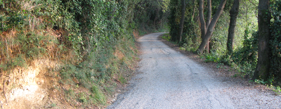 Parco Monte San Bartolo Sentiero 151 - immagine 3 (strada Bocca del Lupo)