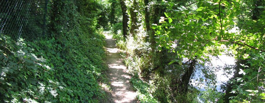 Parco Monte San Bartolo Sentiero 151 - immagine 5