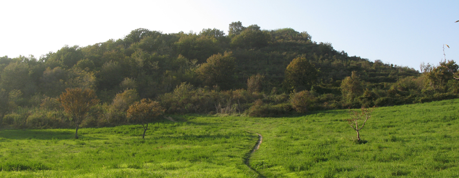 Parco Monte San Bartolo Sentiero 151 - immagine 6
