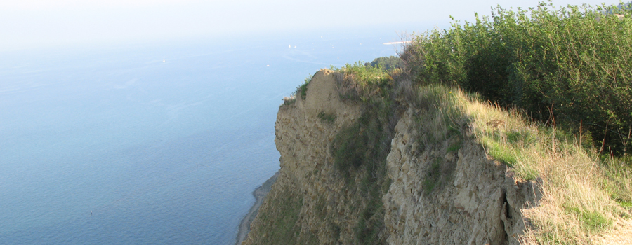 Parco Monte San Bartolo Sentiero 151 - immagine 7