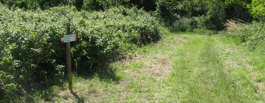 Parco Monte San Bartolo Sentiero 151 - immagine 10