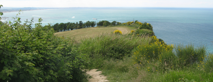 Parco Monte San Bartolo Sentiero 151 - immagine 13