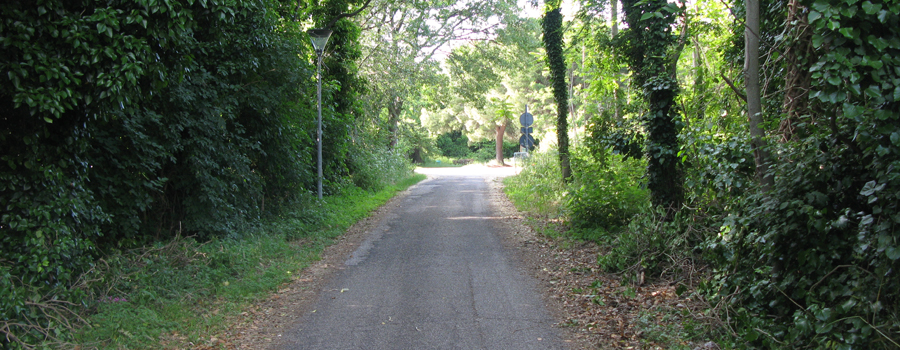 Parco Monte San Bartolo Sentiero 151 - immagine 15