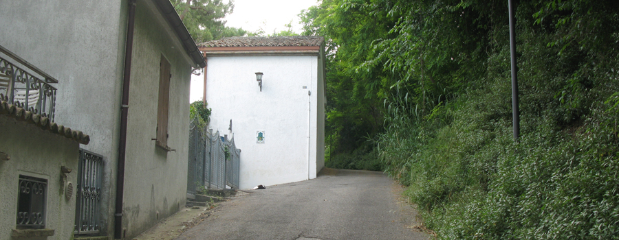 Parco Monte San Bartolo Sentiero 151 - immagine 16