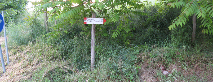 Parco Monte San Bartolo Sentiero 151c - immagine 1