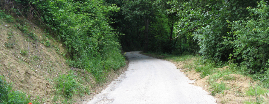 Parco Monte San Bartolo Sentiero 151c - immagine 2