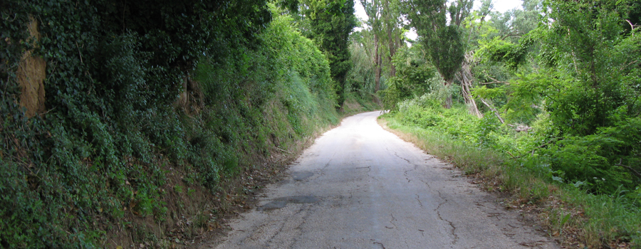 Parco Monte San Bartolo Sentiero 151c - immagine 3