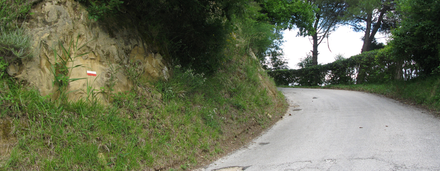 Parco Monte San Bartolo Sentiero 151c - immagine 4