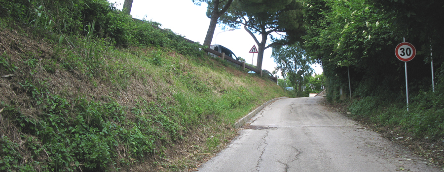 Parco Monte San Bartolo Sentiero 151c - immagine 5