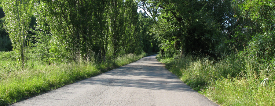 Parco Monte San Bartolo Sentiero 151d - immagine 3